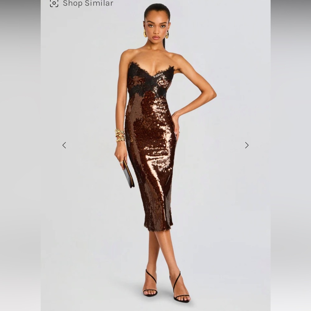 Retrofete Strapless Brown Sequin Dress (Ellen Sequin Dress)